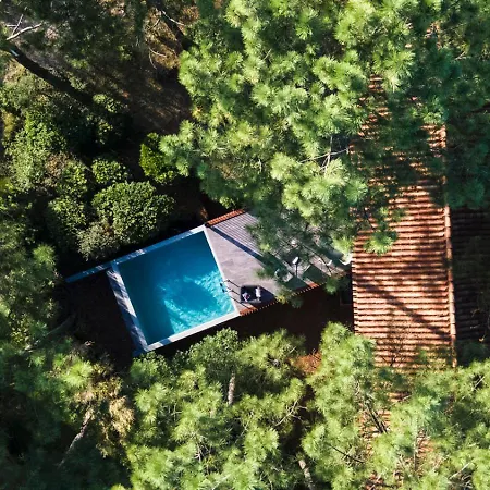 Villa Et Golf A Pieds Moliets-et-Maa